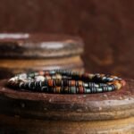Multicolor Picasso Jasper Bracelet V (4mm) - 图片 4